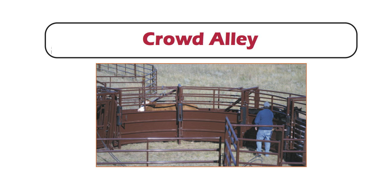 crowd alley